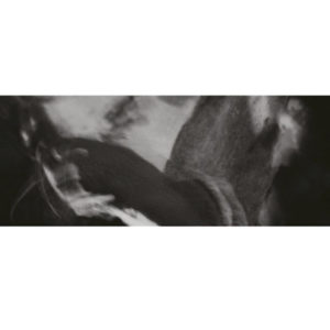 a1459536026 10
