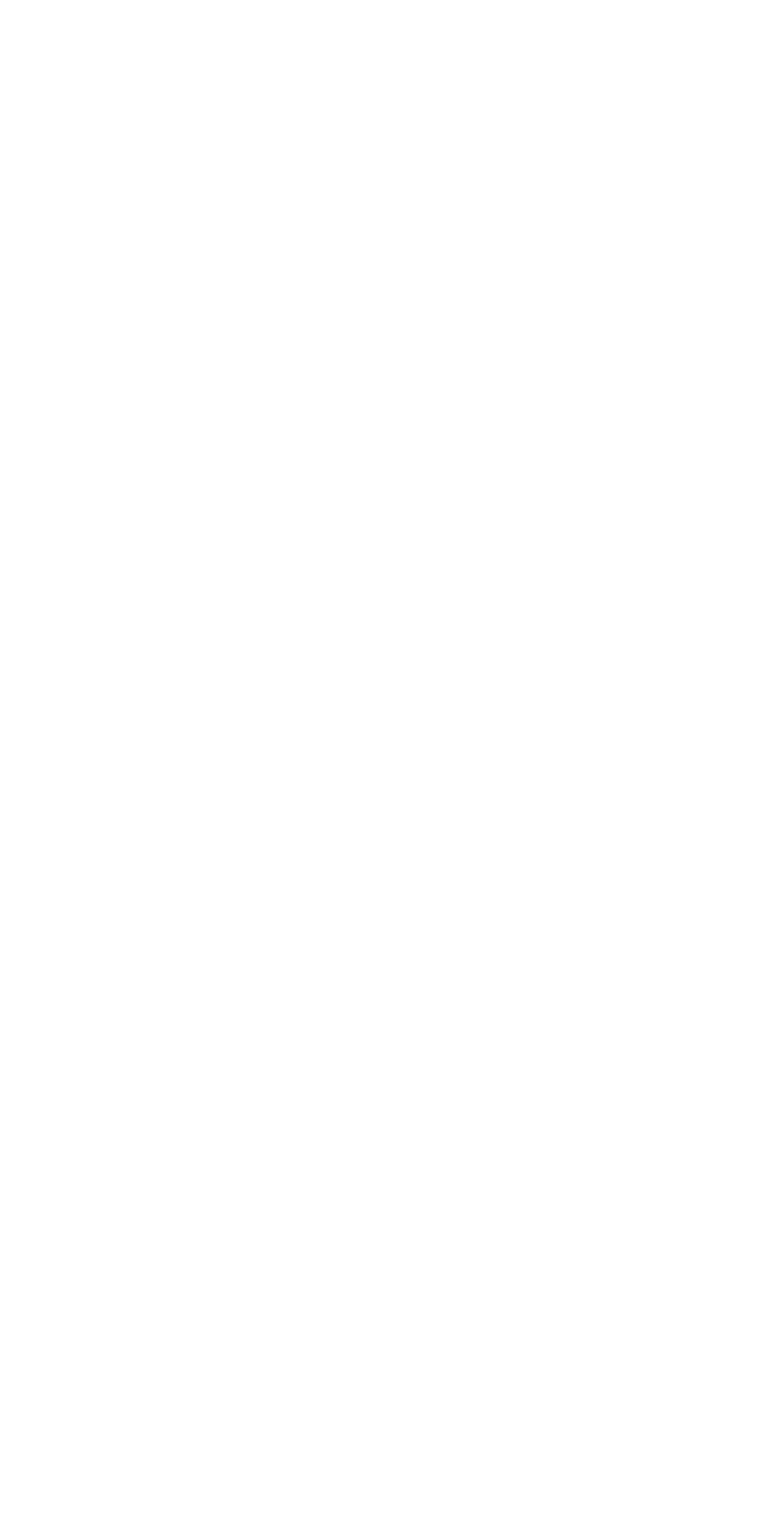 smartphone bianco 4web